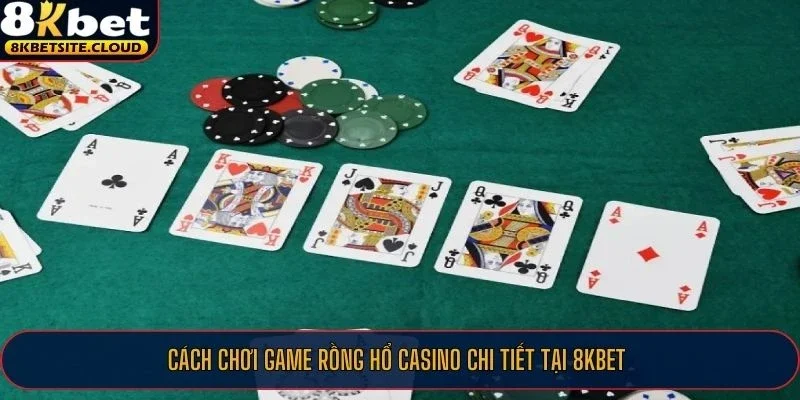Cách chơi game Rồng Hổ casino chi tiết tại 8KBET