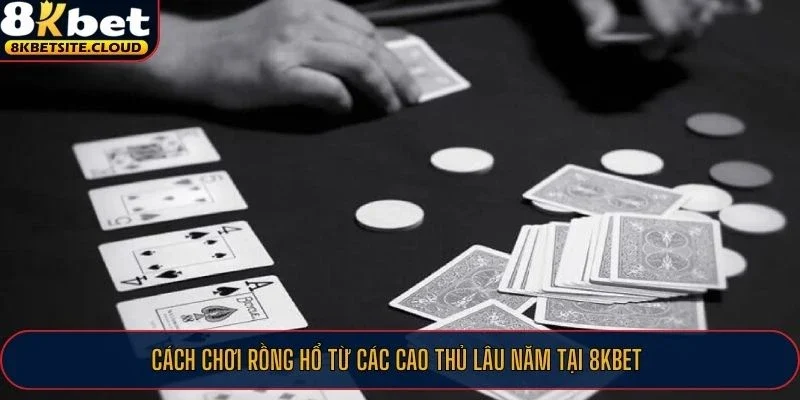 Cách chơi Rồng Hổ từ các cao thủ lâu năm tại 8KBET