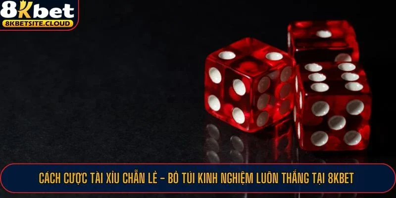 Áp dụng các cách cược tài xỉu chẵn lẻ luôn thắng cho người chơi