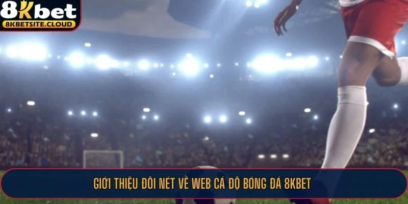 Giới thiệu đôi nét về web cá độ bóng đá 8KBET