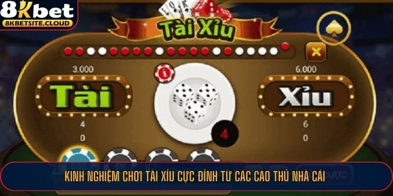 Kinh nghiệm chơi tài xỉu cực đỉnh từ các cao thủ nhà cái