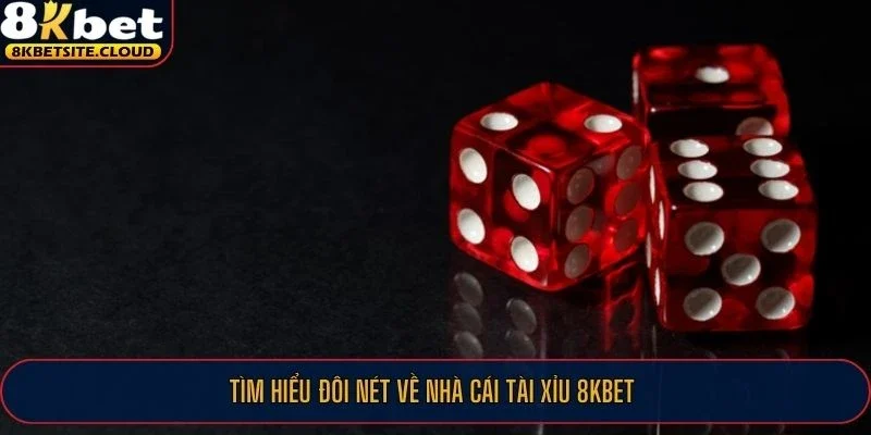 Tìm hiểu đôi nét về nhà cái tài xỉu 8KBET