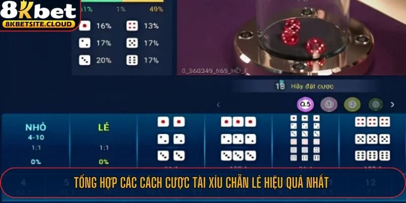 Tổng hợp các cách cược Tài Xỉu chẵn lẻ hiệu quả nhất