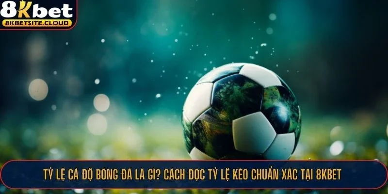 Biết cách đọc tỷ lệ cá độ bóng đá giúp bạn thắng lớn tại 8KBET